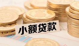 东莞39空放-东莞39个人短借-东莞39身份证小额贷款